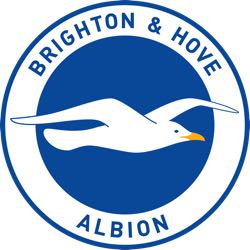 Brighton and Hove logo