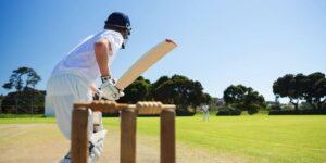 Cricket batter