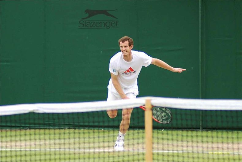 Murray at Wimbledon