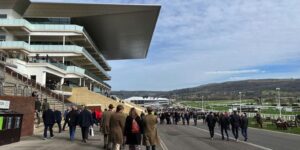 Cheltenham stands