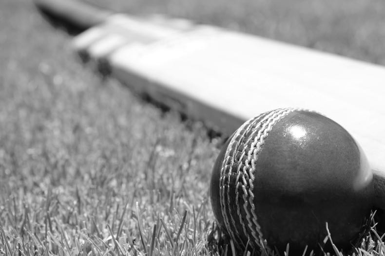 Cricket bat and ball in black and white
