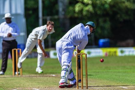 Cricket batsman & bowler