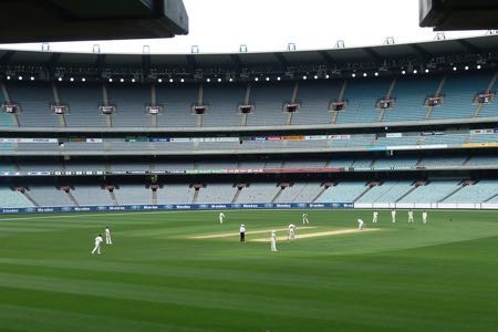 Cricket pitch