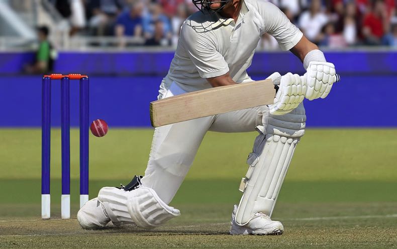 Cricket player