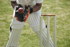 Cricket wicketkeeper