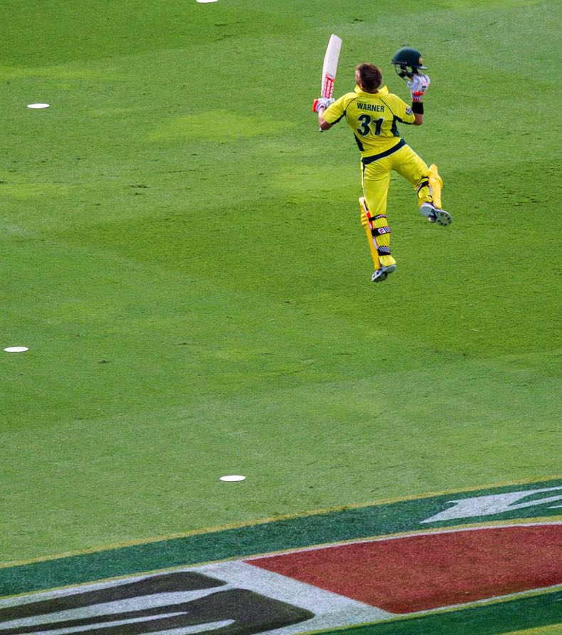 David Warner celebrating