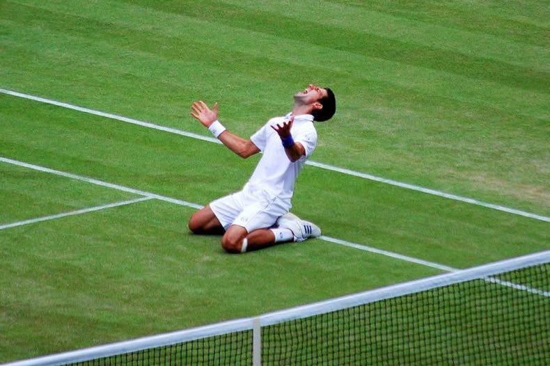Djokovic celebrates a win