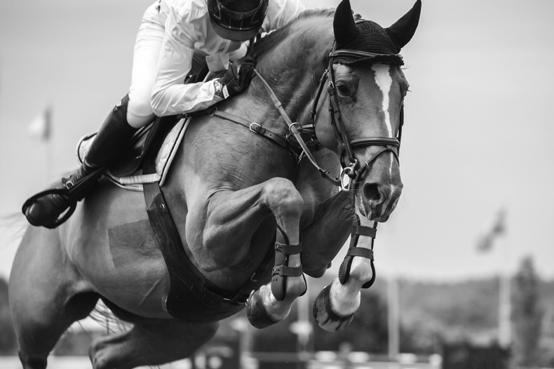 Equestrian woman