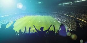 Football fans in stadium