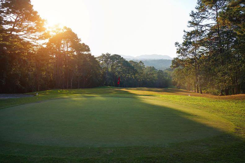 Golf course green