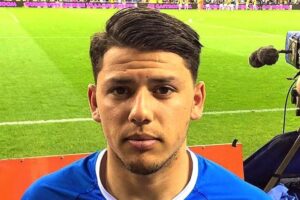 Gustavo Hamer profile