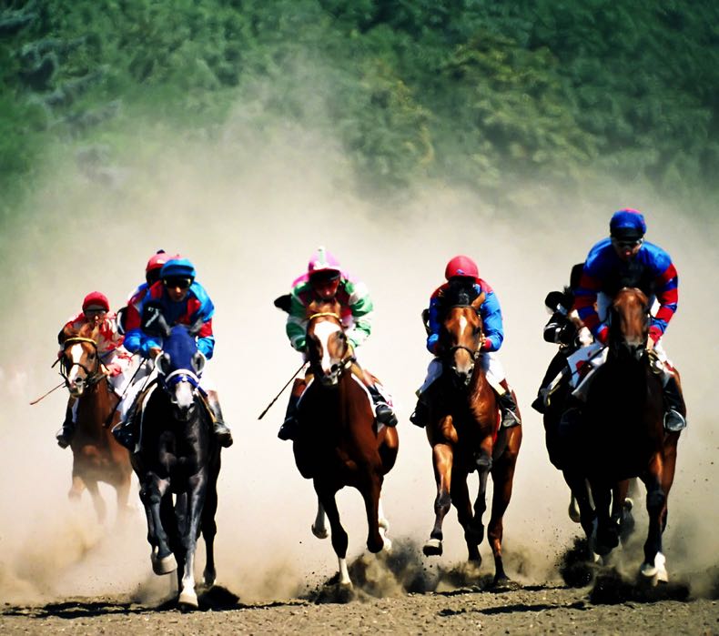 Horse racing speeds