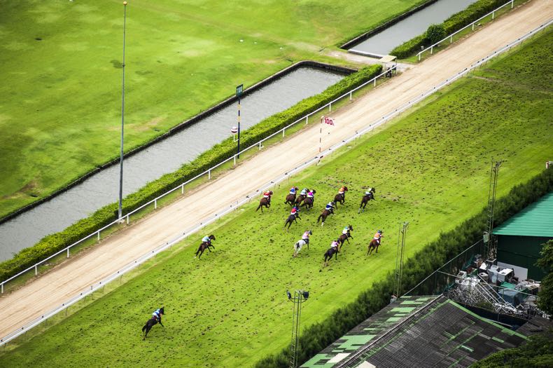 Horse racing track