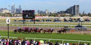 Melbourne Cup 2013