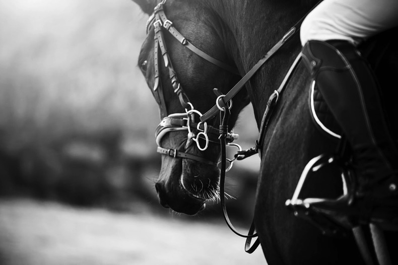 Pony racing