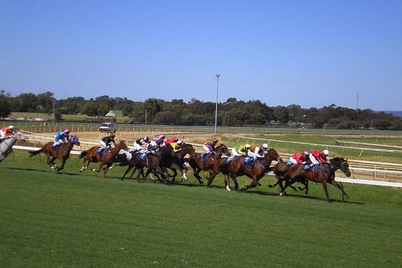 Race at Ascot Racecourse