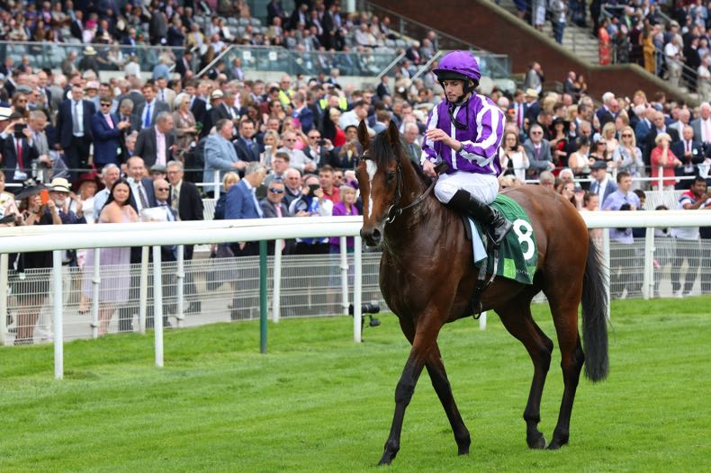 Ryan Moore jockey